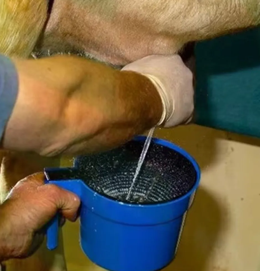 Стаканчик для сдаивания первых струек молока, синий